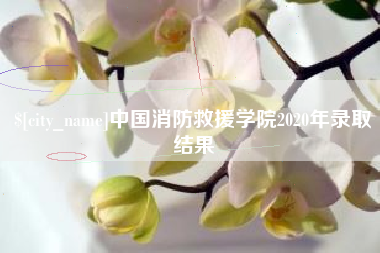 丹阳中国消防救援学院2020年录取结果