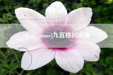 丹阳九宫格的来源
