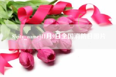 丹阳11月9日全国消防日图片