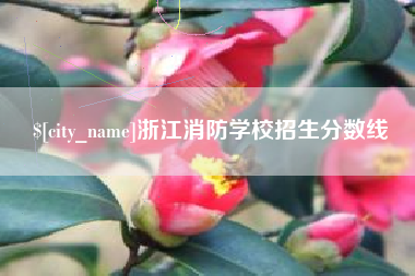 丹阳浙江消防学校招生分数线