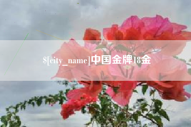 丹阳中国金牌18金