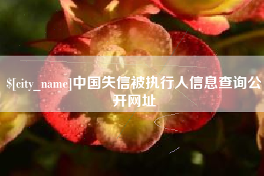丹阳中国失信被执行人信息查询公开网址