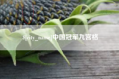 丹阳中国冠军九宫格