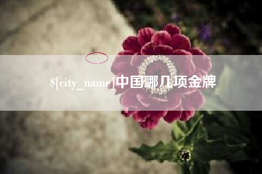 丹阳中国哪几项金牌
