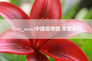 丹阳中国省地图 全图黑白