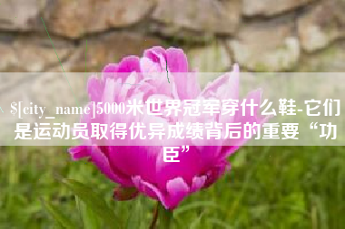丹阳5000米世界冠军穿什么鞋-它们是运动员取得优异成绩背后的重要“功臣”