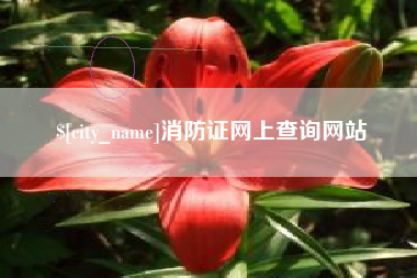 丹阳消防证网上查询网站
