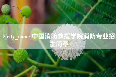 丹阳中国消防救援学院消防专业招生简章