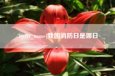 丹阳我国消防日是哪日