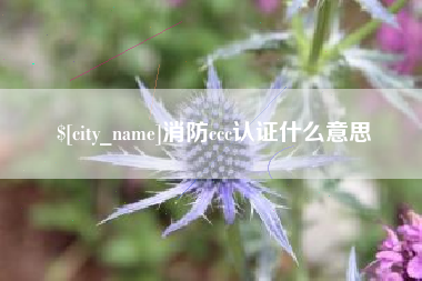 丹阳消防ccc认证什么意思