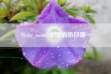 丹阳全国消防日哪一