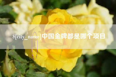 丹阳中国金牌都是哪个项目