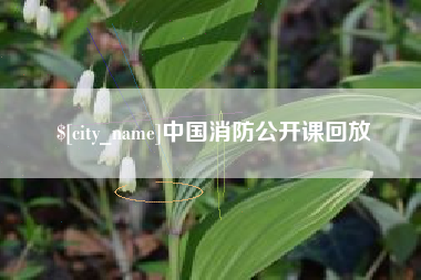 丹阳中国消防公开课回放