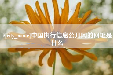 丹阳中国执行信息公开网的网址是什么