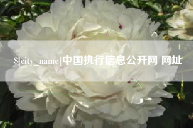 丹阳中国执行信息公开网 网址