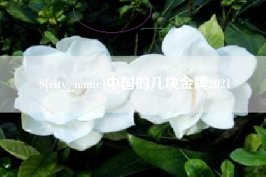 丹阳中国的几块金牌2021