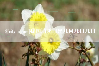 丹阳我国消防日是几月几日几日