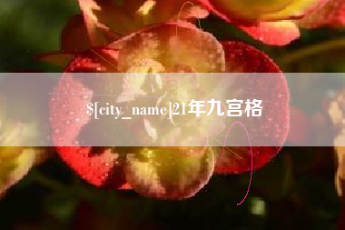 丹阳21年九宫格