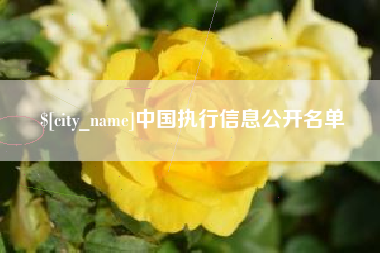 丹阳中国执行信息公开名单