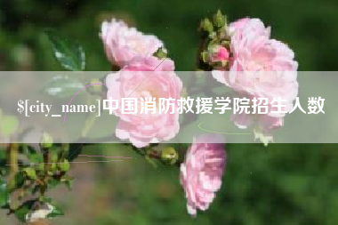 丹阳中国消防救援学院招生人数