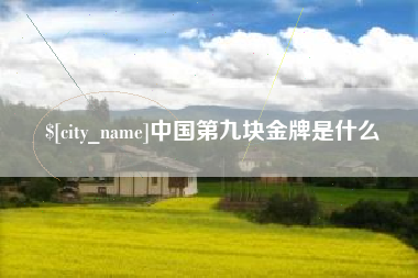 丹阳中国第九块金牌是什么