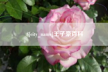 丹阳王子豪百科