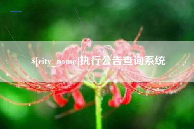 丹阳执行公告查询系统