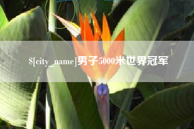 丹阳男子5000米世界冠军