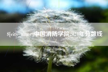丹阳中国消防学院2024年分数线