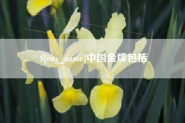 丹阳中国金牌包括