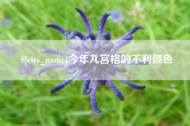 丹阳今年九宫格的不利颜色
