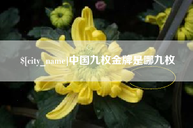 丹阳中国九枚金牌是哪九枚