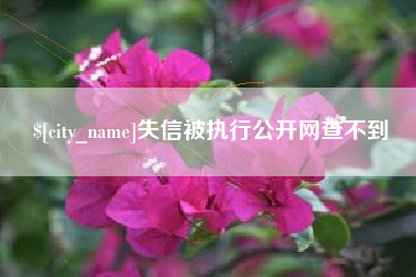 丹阳失信被执行公开网查不到