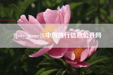 丹阳1.中国执行信息公开网
