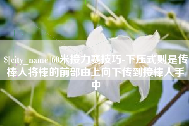 丹阳60米接力赛技巧-下压式则是传棒人将棒的前部由上向下传到接棒人手中