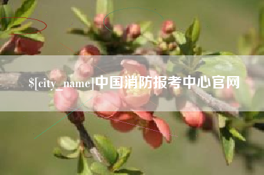 丹阳中国消防报考中心官网