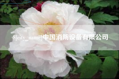丹阳中国消防设备有限公司