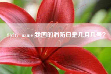 丹阳我国的消防日是几月几号？