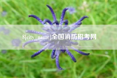 丹阳全国消防招考网
