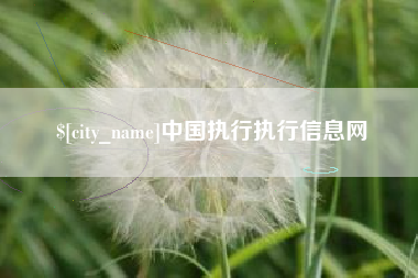 丹阳中国执行执行信息网