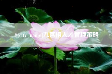 丹阳九宫格人才管理策略