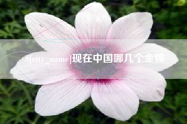 丹阳现在中国哪几个金牌