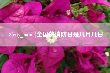 丹阳全国的消防日是几月几日