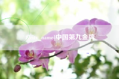 丹阳中国第九金牌
