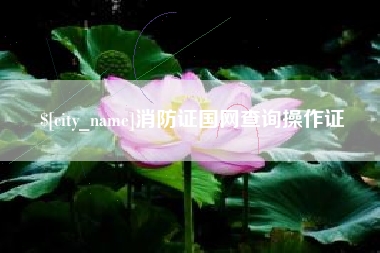 丹阳消防证国网查询操作证