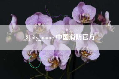 丹阳中国消防官方