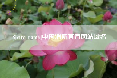 丹阳中国消防官方网站域名