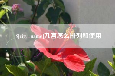 丹阳九宫怎么排列和使用