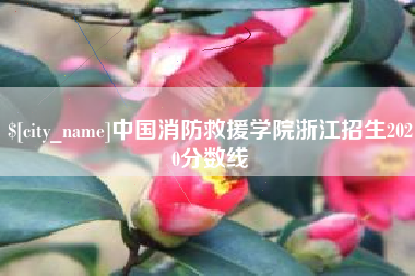 丹阳中国消防救援学院浙江招生2020分数线