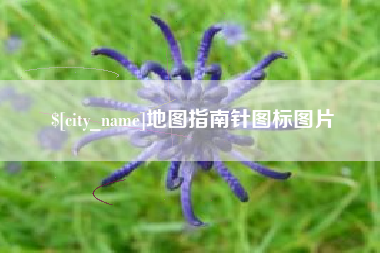 丹阳地图指南针图标图片
